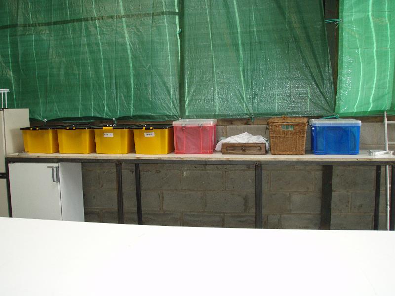 Crockery all washed.jpg